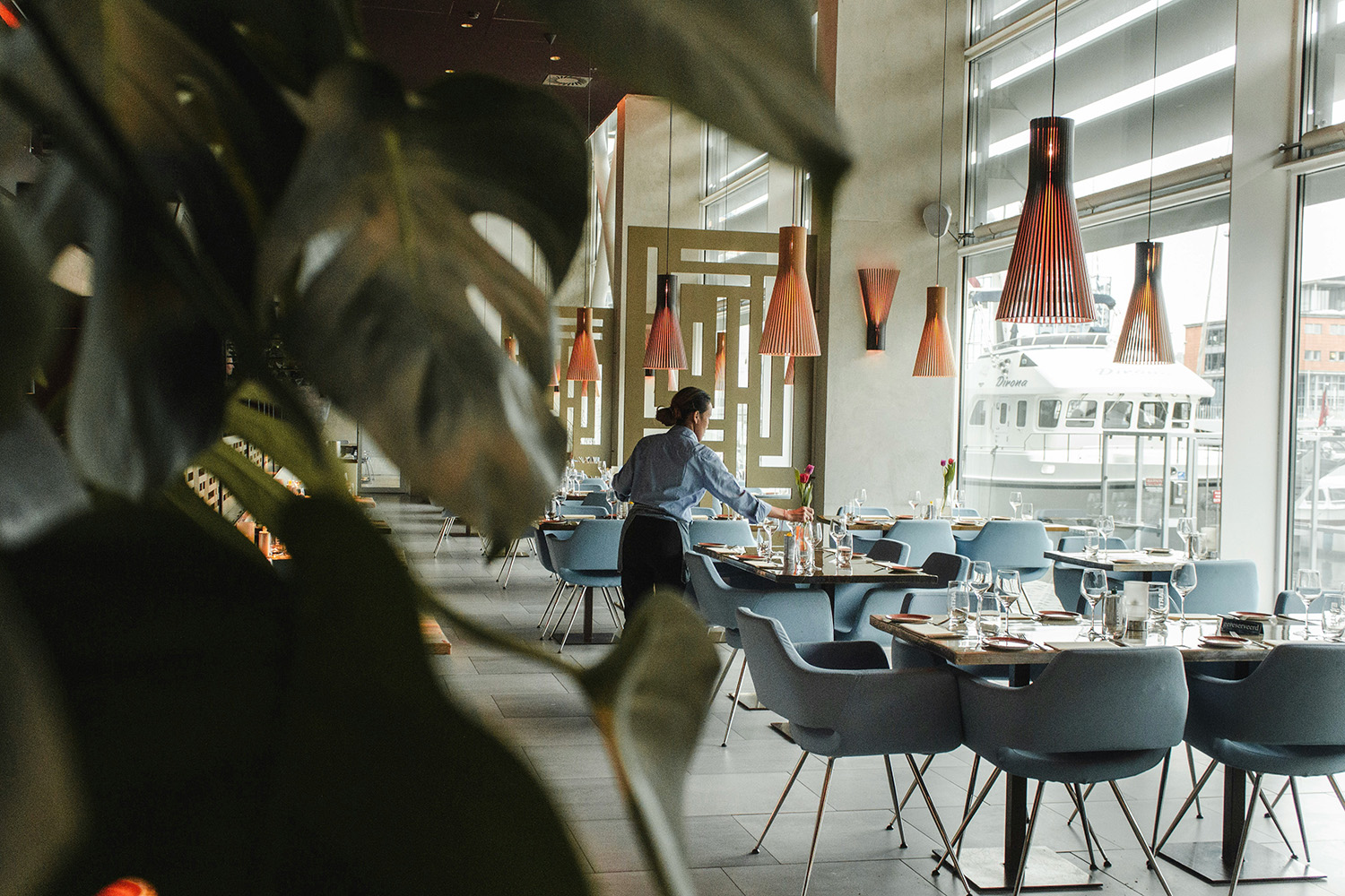 Maximise Your Hotel's Marketing Spend with The Lotus Collective.
